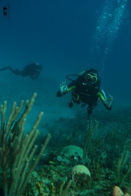 Scuba diving in Havana